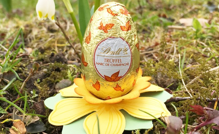 170 Narzissen –&nbsp;Eier