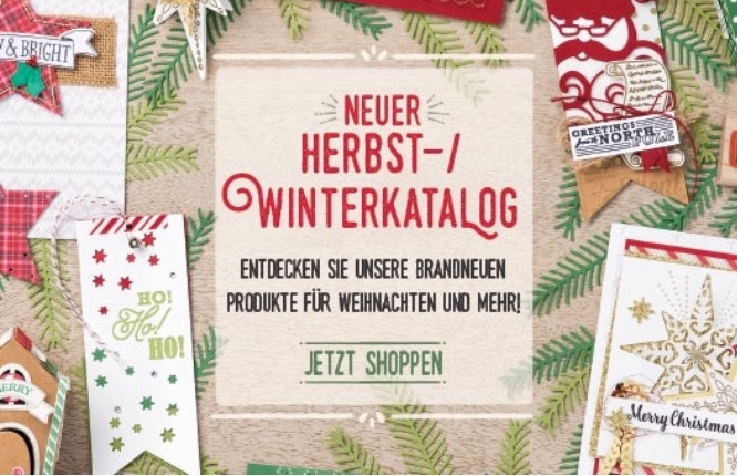 Jetzt geht´s los!!! Viel neues nach der&nbsp;Blogpause