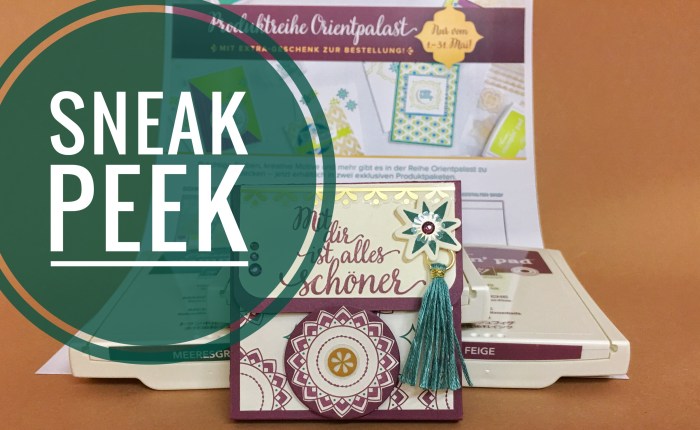 Anleitung Mini Album Karte mit Sneak Peek&nbsp;😍😍😍