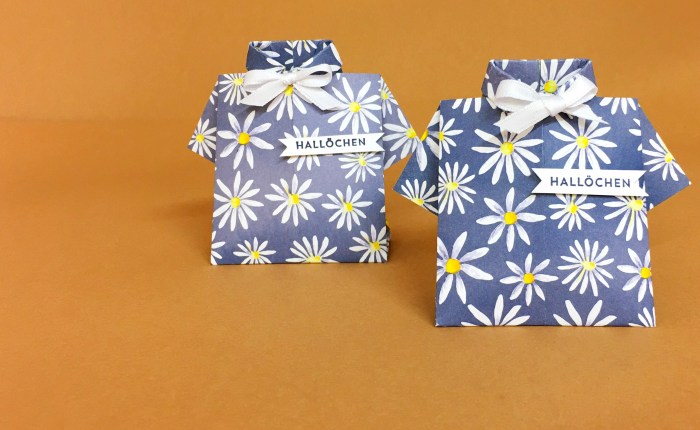 Anleitung zur Hemdverpackung