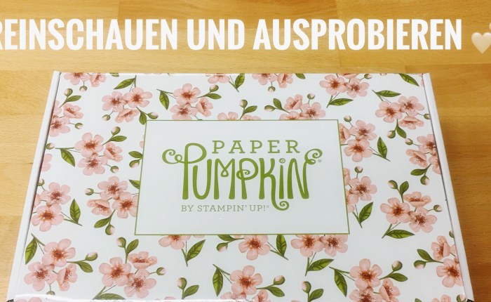 Reingelinst und ausprobiert – Paper&nbsp;Pumpkin