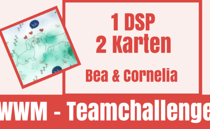 Silvester – Zeit um mit Bea ’ne Party zu feiern&nbsp;😂