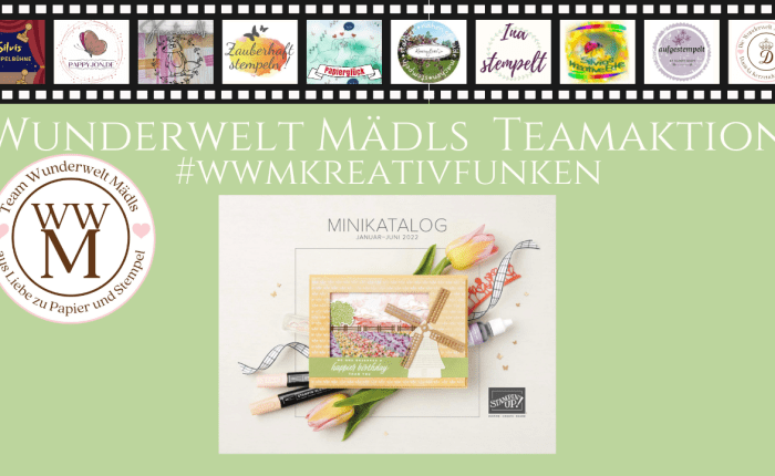 Die Teamaktion beginnt!