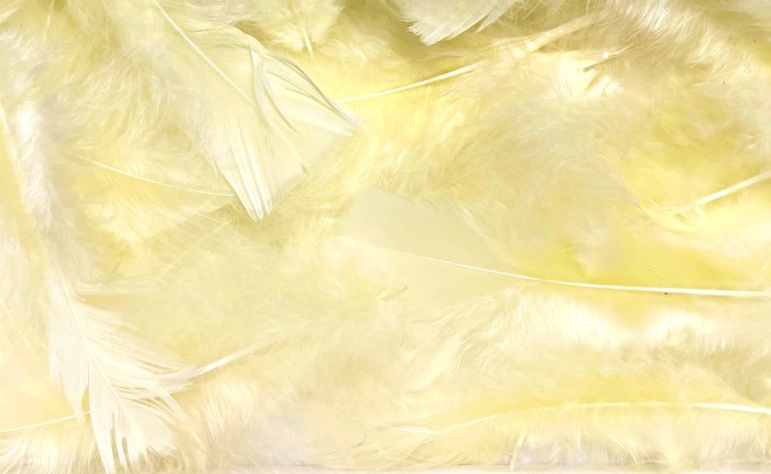 Lustige Osterkarte basteln