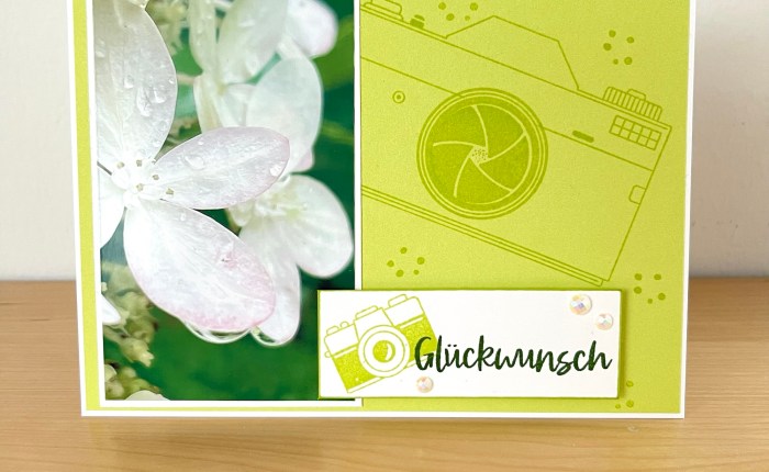 1. Inspiration zum neuen PP „Capturing&nbsp;Smiles“